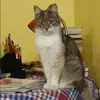 Отзыв от Аня Кондрашова